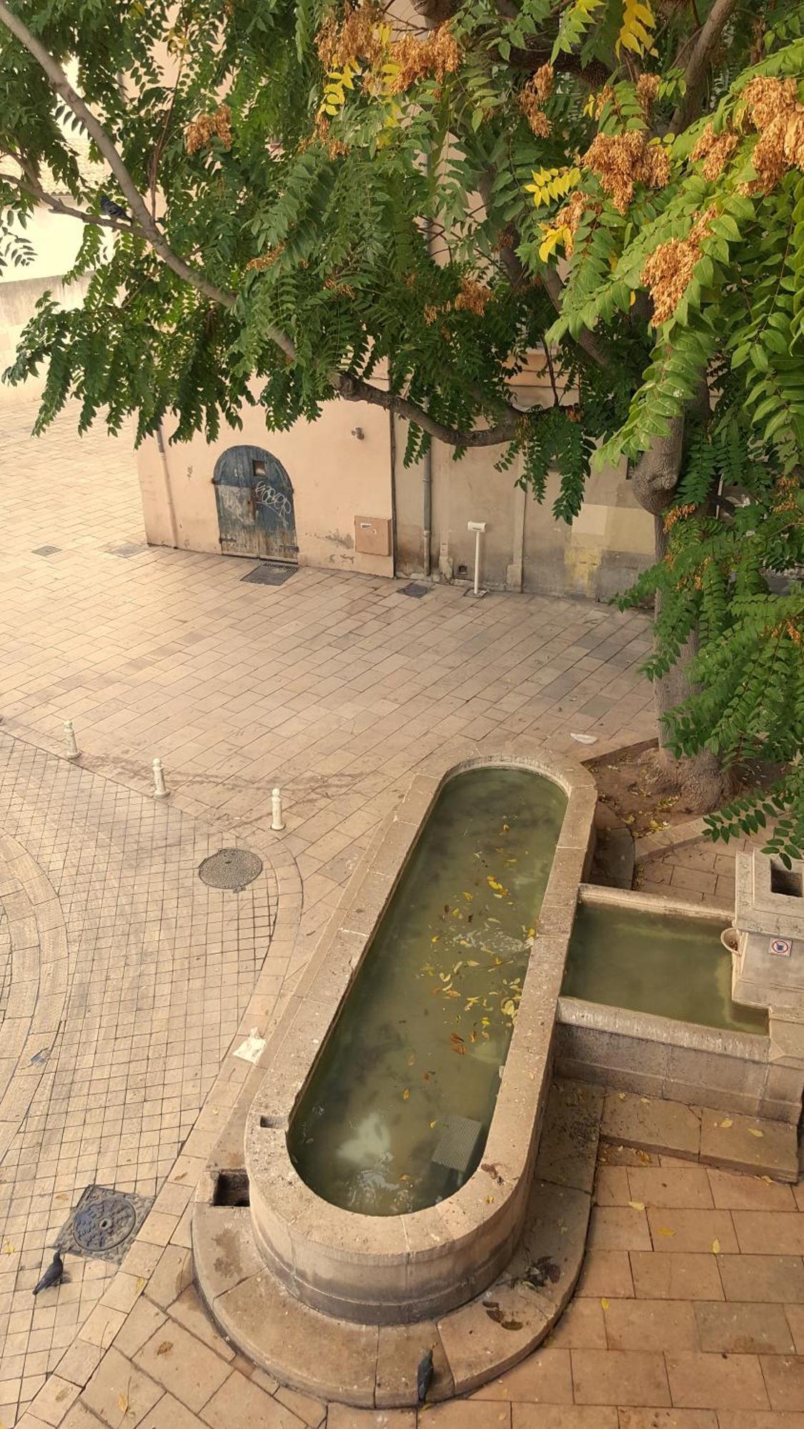 #1 Studio # Place Charmante Τουλόν Εξωτερικό φωτογραφία